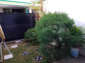 Rumah Mewah Full Furnish Siap Huni Taman Modern, Cakung