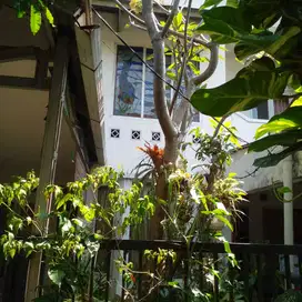 Rumah Siap Huni Asri dan Nyaman di Sektor 3A Bintaro BS-12335