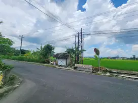 Dekat Kampus UNRIYO Maguwo: Prospek Kost, Tanah SHM Jogja