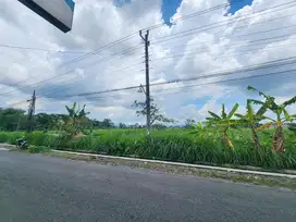 Jual Murah Tanah Jogja Tepi Jalan Mobil Simpangan