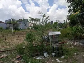 Sisa 3 unit tanah kavling di Canggu, Akses jalan 5 meter