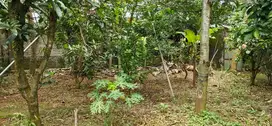 Dijual Kavling nyaman dan asri strategis bonus tananam pohon buah