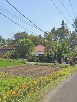 TANAH DI LINGKUNGAN VILLA DI KEDUNGU, TABANAN - BALI