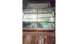 Rumah 4 Lantai, Semi Funish di Pademangan, Jakarta