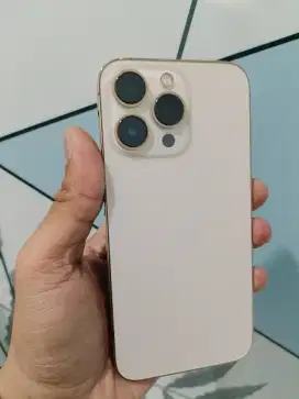 Iphone 13 Pro 256GB Gold fullset Bh 96% All Operator