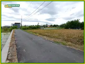 Pekarangan di Jambon, Trihanggo Dalam Ringroad Jogja, Murah