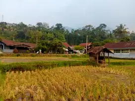 TANAH SAWAH PINGGIR SUNGAI DEKAT RSUD TURUN HARGA