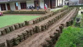 Jual rumput lapangan sepak bola semarang