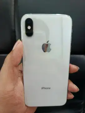 iPhone XS 256Gb Inter