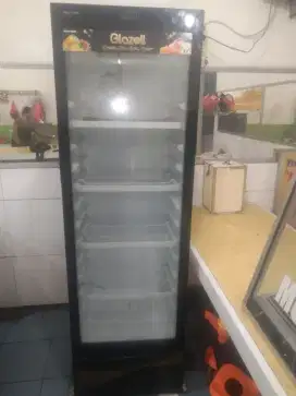 Showcase Polytron SCN 238