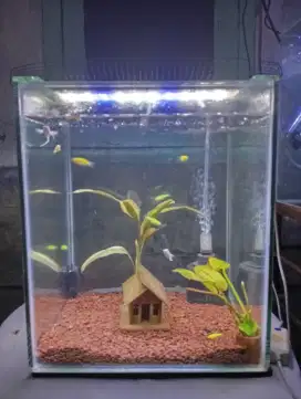 AQUARIUM & PRINTILAN
