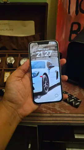 Iphone 13 Pro 256gb