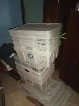 Keranjang Kelengkeng