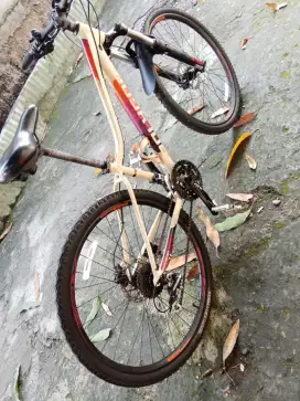 Polygon Cleo 2 size 27.5in