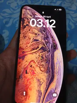 Iphone xs max 256 gb inter all operator