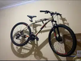 MTB Polygon cascade