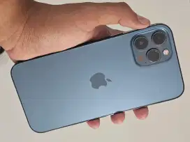 Iphone 12 Pro Max 128