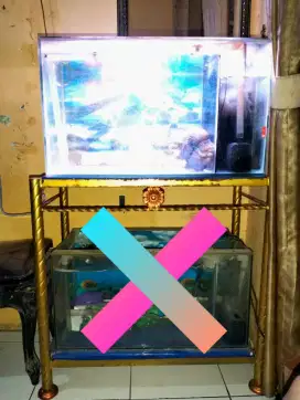 Aquarium lengkap dengan Rak