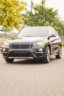 BMW X1 F48 XLine 2019 Panoramic