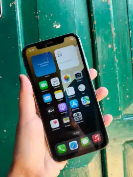 iPhone 11 128 inter sinyal all