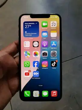iPhone XSMAX 256 GB Inter