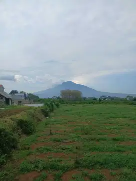 INVESTASI CERDAS DI KOTA MALANG TANAH BERKEMBANG  HARGA MURAH NEGO