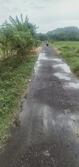 Tanah Tepi Jalan Aspal Di Godean Sleman