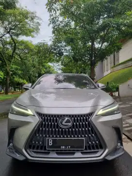 Lexus NX250 Luxury 2022