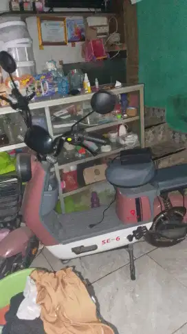 Sepeda listrik enine se-6