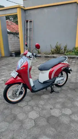 Scoopy karbu 2012 super gress