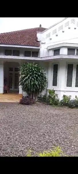 Dijual Rumah Heritage Hitung Tanah 17,5 juta per m2 di A Yani
