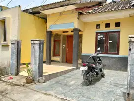 Dikontrakan Rumah 15 menit dari Kampus IPB