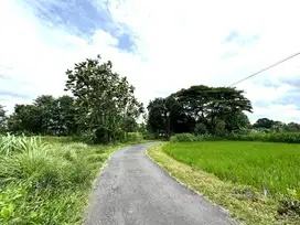 Tanah Murah Jogja Harga Murah Lingkungan Asri