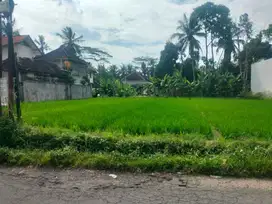 DIJUAL LAHAN 900 M2 4 KM DARI CENTRAL UBUD - BALI