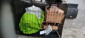 TEMPAT HEWAN KUCING DAN LAINYA