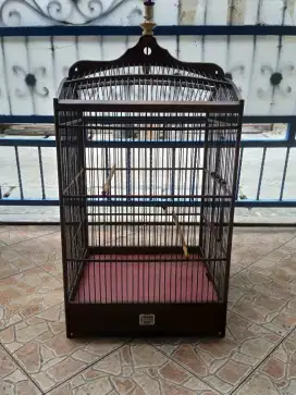 Kandang ORIQ no 1