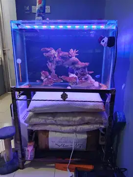 AQUARIUM uk 60x40