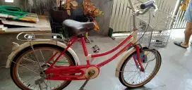 Sepeda anak usia 8-12 thn