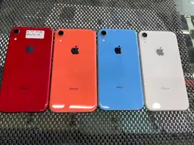 Iphone XR allop beacukai
