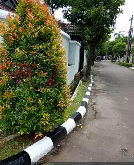 Bintaro rumah sudut jual hitung tanah saja
