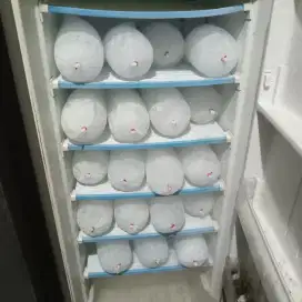 Freezer 6 Rak merk LG ada 3 unit