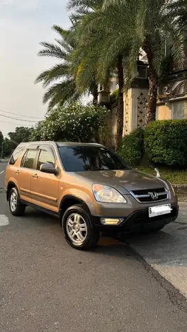 Honda CR-V 2003 (Special color)