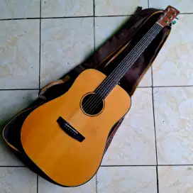 Akustik elektrik hex D70E M