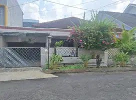 RUMAH / KANTOR DI JL MAWAR BRUMBUNGAN SEMARANG TENGAH