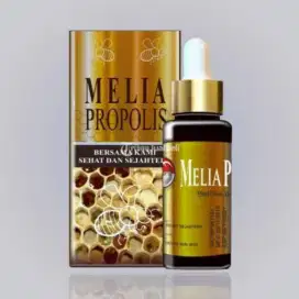 Obat herbal alami propolis