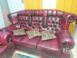 SOFA JAGUAR KEPANG