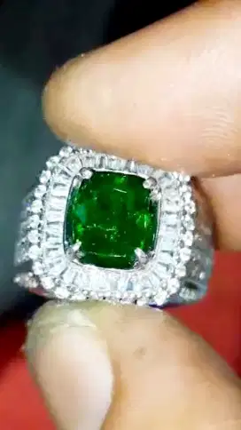 Natural Vivid Green Tsavorite Garnet 2.7 ct