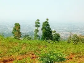 TANAH MURAH DI PANANJUNG SOREANG BANDUNG SELATAN