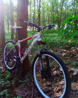 mtb scott aspect