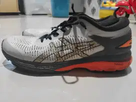Asics gel kayano 25